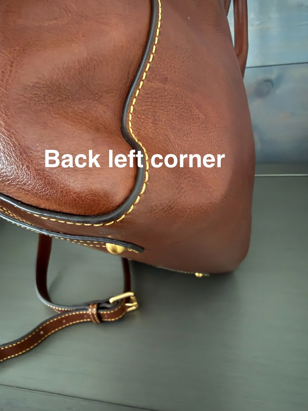 Dooney & Bourke Florentine Amelie Logo Lock Tote - Picture 14 of 16
